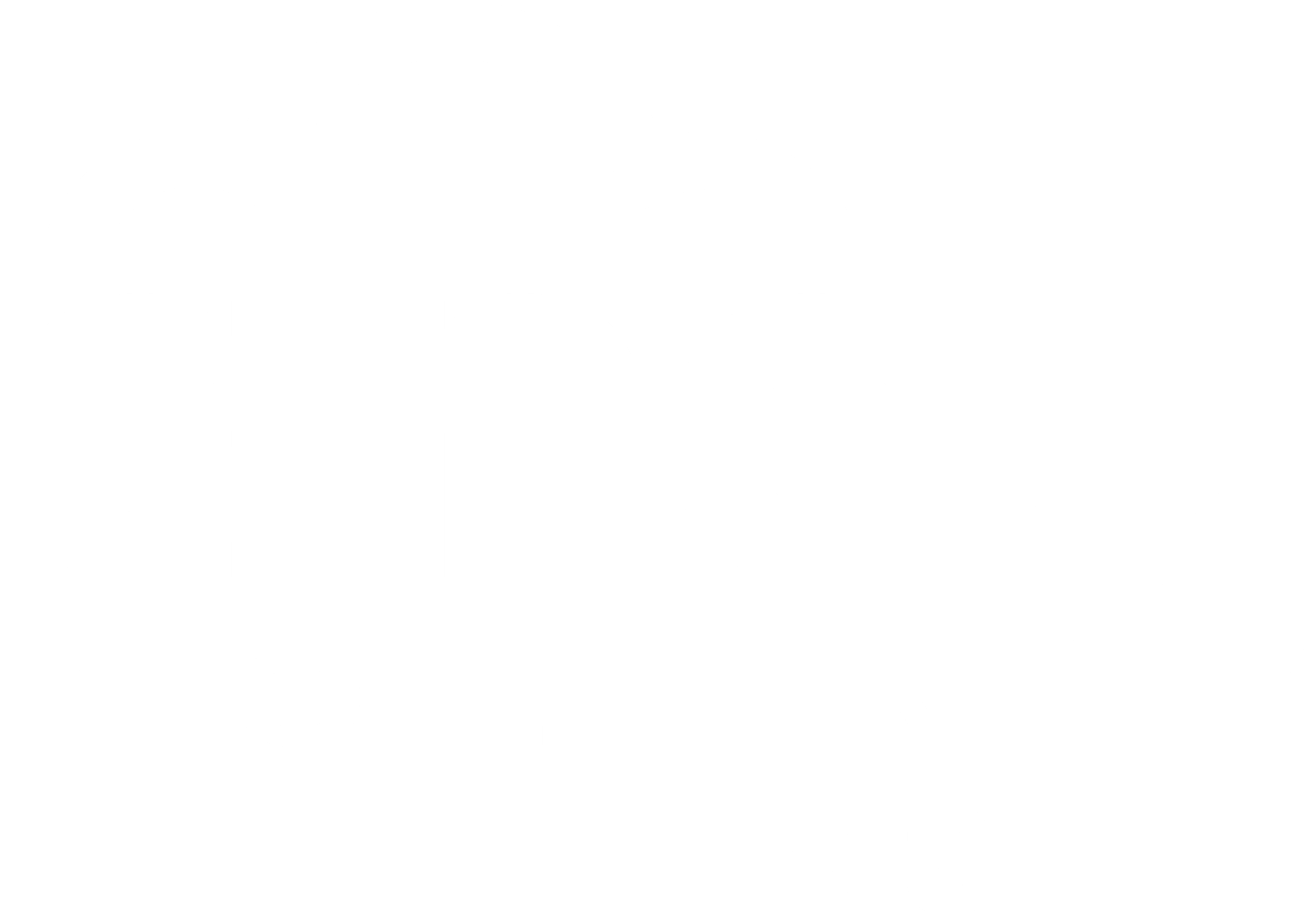 Logo - Andy Nolan Films